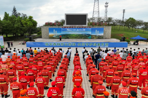 �|Դ�h�_չ2025��ɭ�ַ�����������Ӄxʽ�����}�����ջ��